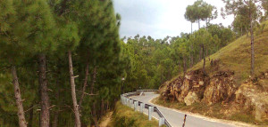 the road of kausani